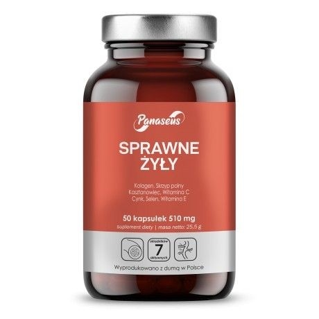 Przejdź do produktu PANASEUS Sprawne Żyły (50 kaps.)