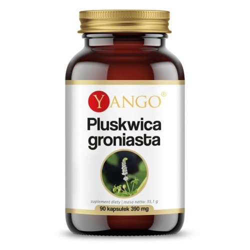 Przejdź do produktu YANGO Pluskwica Groniasta (90 kaps.)