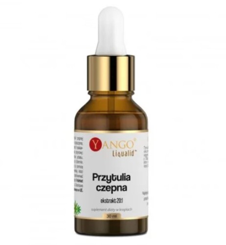Przejdź do produktu YANGO Przytulia czepna - ekstrakt 20:1 (30 ml)