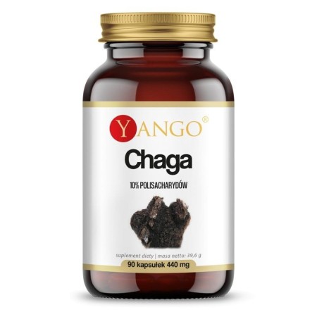 5903796650426_yango-chaga-ekstrakt-10-polisacharydow-90-kaps.jpg