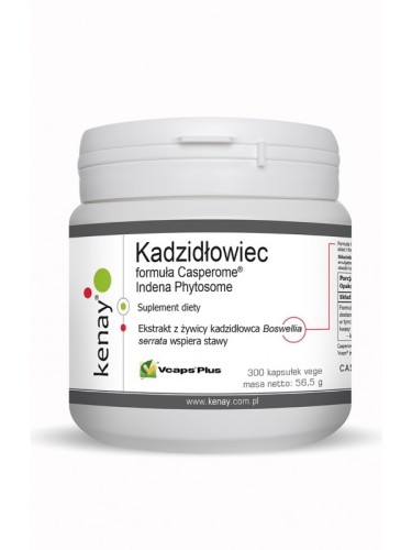 Przejdź do produktu KENAY Kadzidłowiec Casperome Indena Phytosome (300 kaps.)