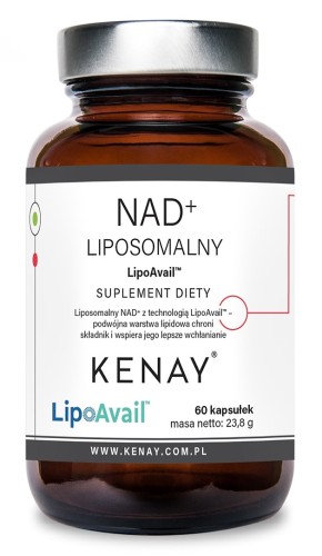 Przejdź do produktu KENAY NAD+ Liposomalny LipoAvail® (60 kaps.)