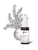 ZEN-SZEN-z-roslinka.png