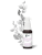 CYTRYNIEC-CHINSKI-z-roslinka.png