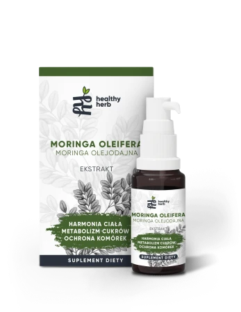 MU-moriga-www_122024.png